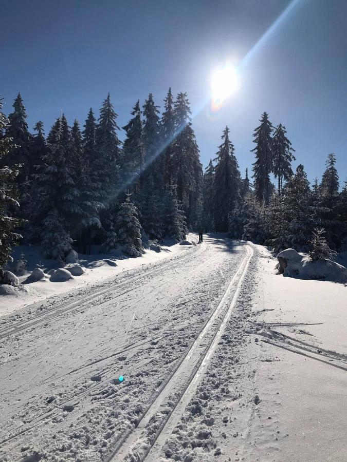 Miky Apartman Klinovec Loučná pod Klínovcem Buitenkant foto