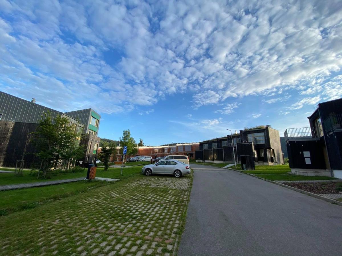 Miky Apartman Klinovec Loučná pod Klínovcem Buitenkant foto